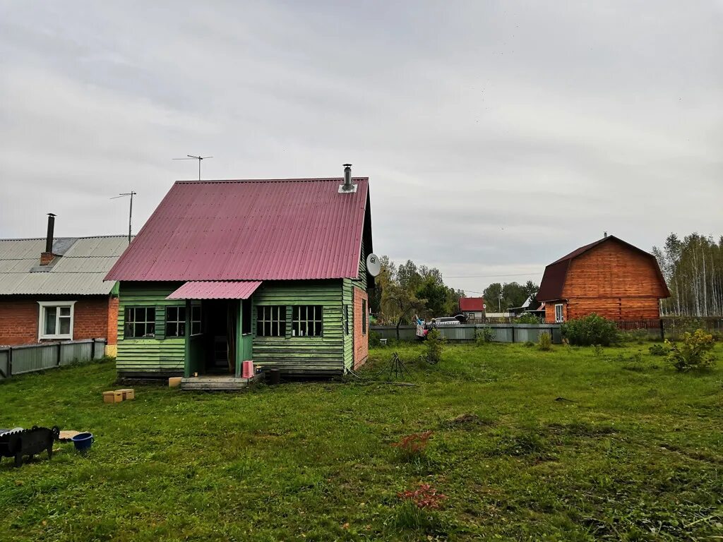 Репьево тогучин. Село земля. Погода репьево новосибирск. Репьево новосибирская область фото. Репьево новосибирская область.