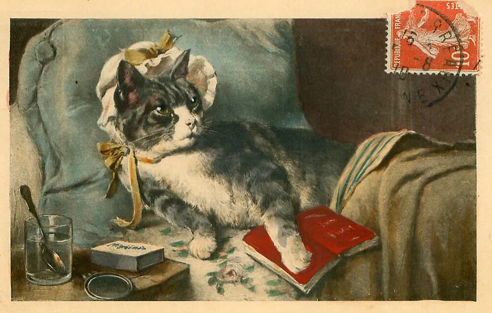 Ретро открытки кошки. Винтажные открытки с котом. Старые открытки с котиками. Ретро открытки с котиками. Книги открытки старые