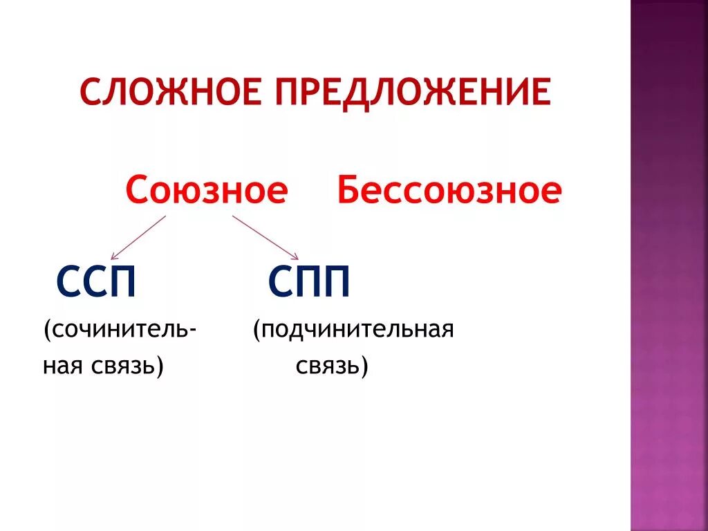 Группы союзных предложений. Союзные и Бессоюзные предложения. Союзные и Бессоюзные сложные предложения. ССП И СПП. ССП СПП Бессоюзное.