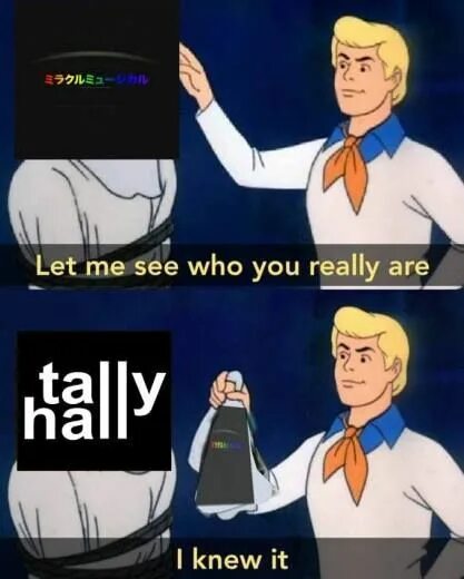 Tally Hall. The bidding Tally Hall. Эндрю Tally Hall. Талли Холл мемы.