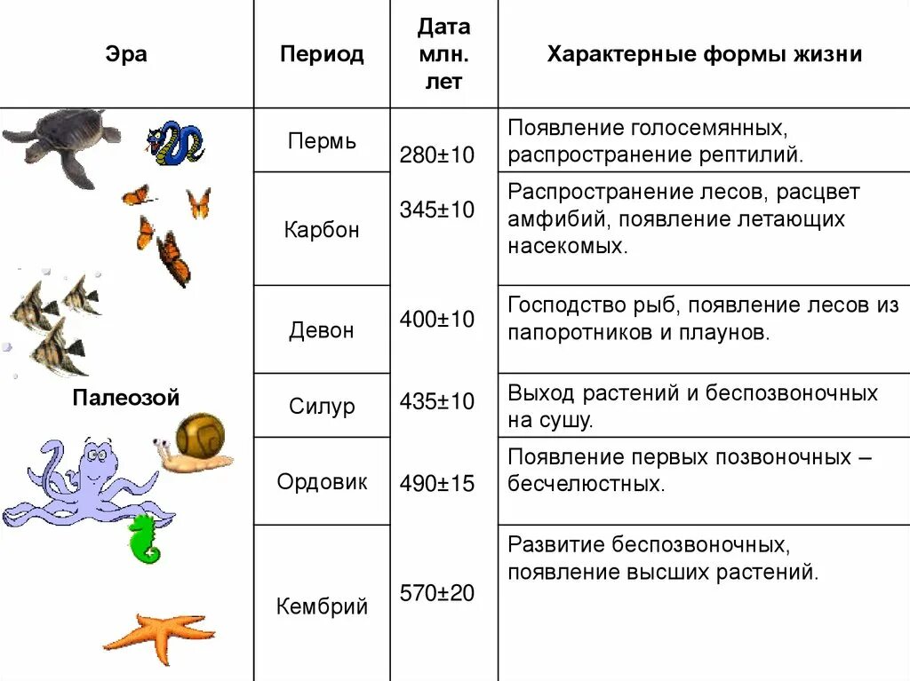 Схема этапов развития жизни. Таблица по биологии Геохронологическая таблица. Начальные этапы развития жизни схема. Таблица периодов биология 9 класс. Условия жизни на земле 9 класс презентация