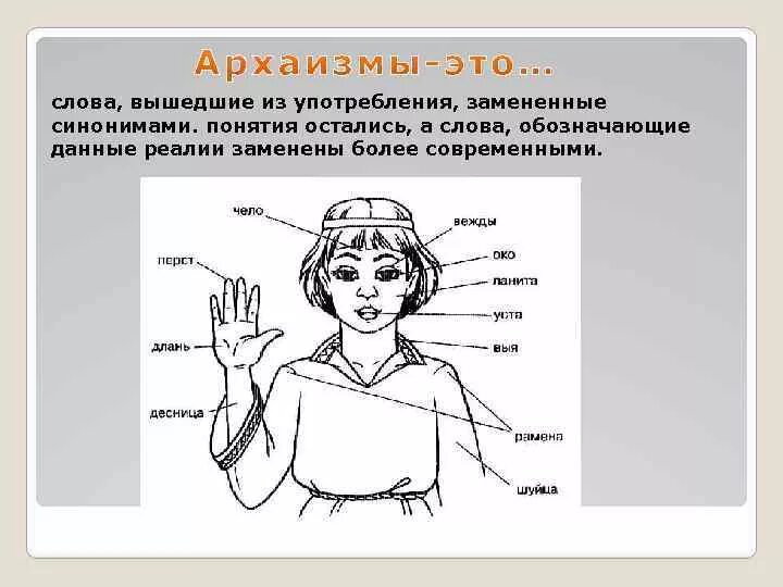 Устаревшее слово доклад. Устаревшие слова примеры. Старинные слова картинки. Устаревшие слова вышедшие из употребления. Устаревшие слова примеры и их значение.