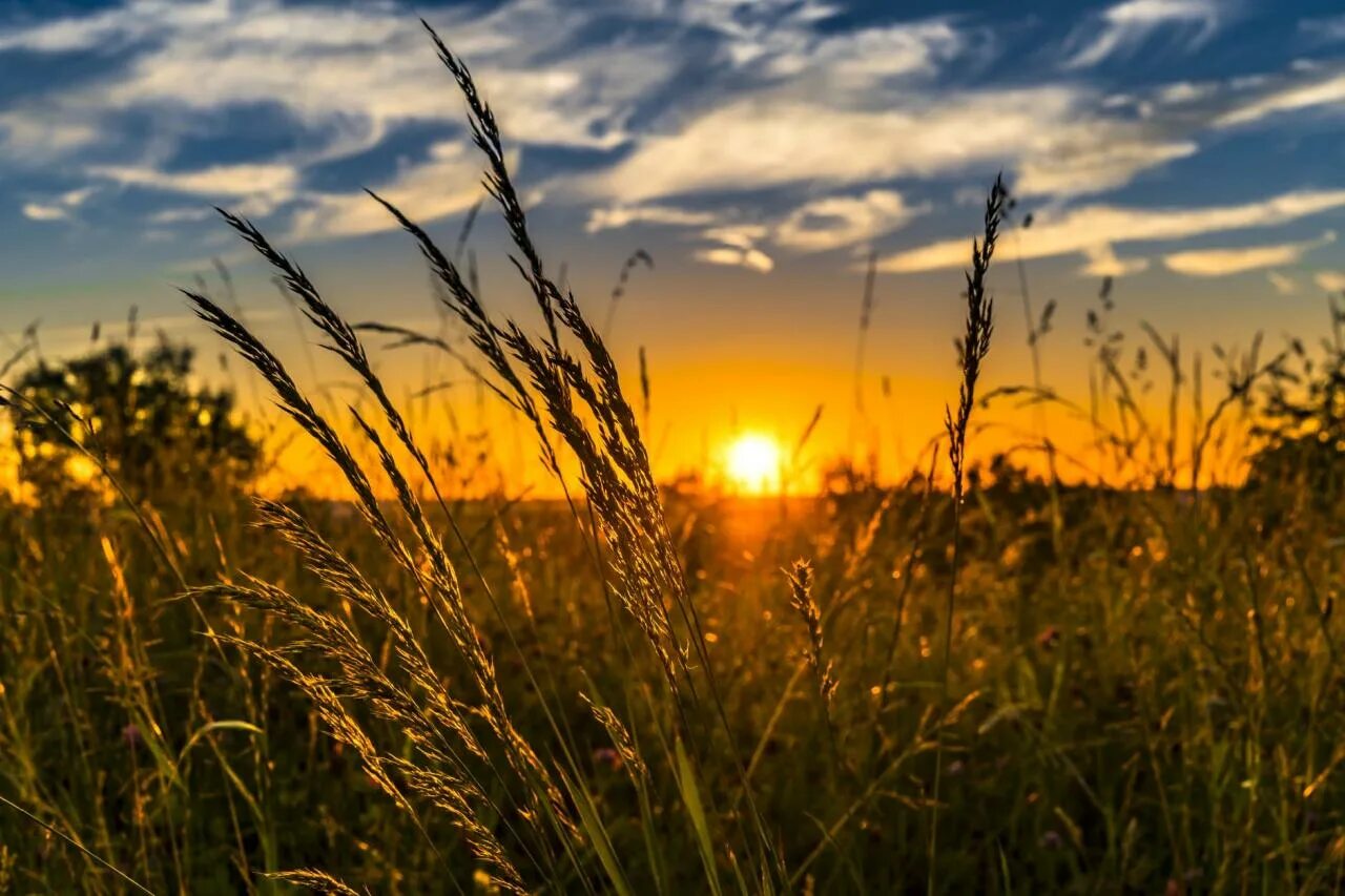 21 июля солнце. Август природа. Летний закат в поле. Лето. Природа солнце.