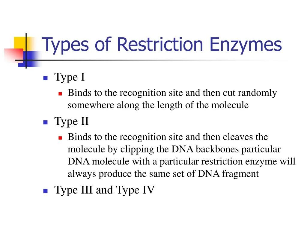 Restriction Enzyme. Type 2 restriction Enzyme. Type 2p restriction Enzyme. One Type of Enzyme and its. Sites type 1