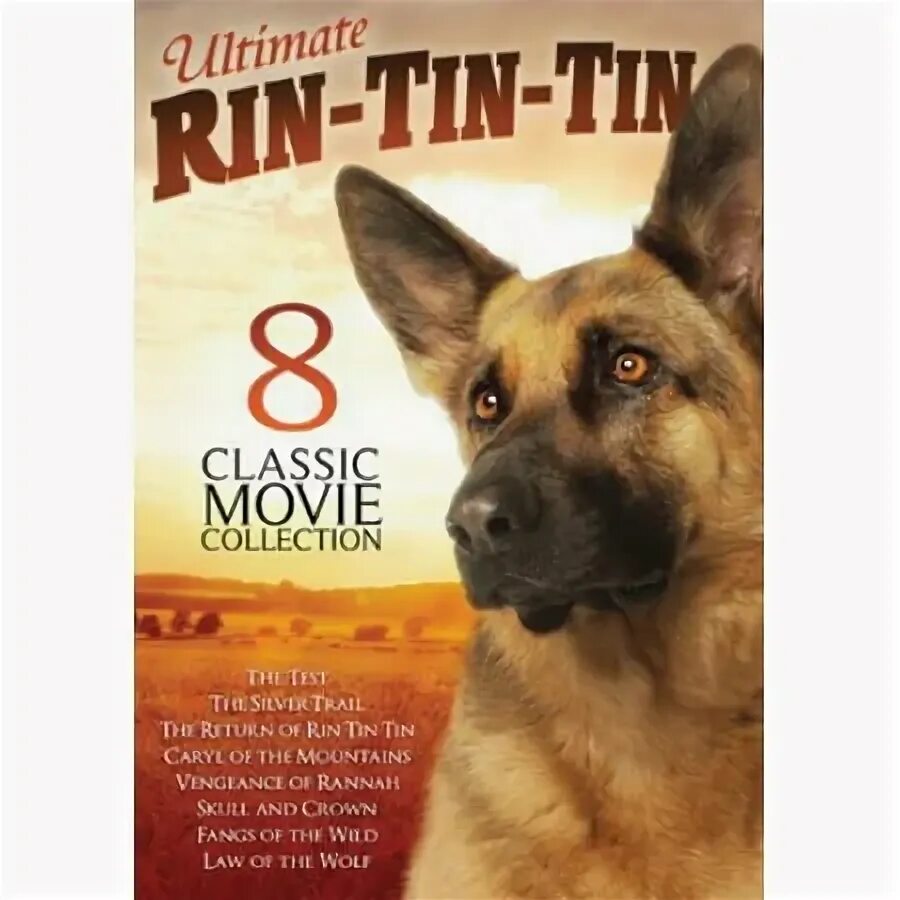 Аудиокниги тин тин. Три щенка DVD.
