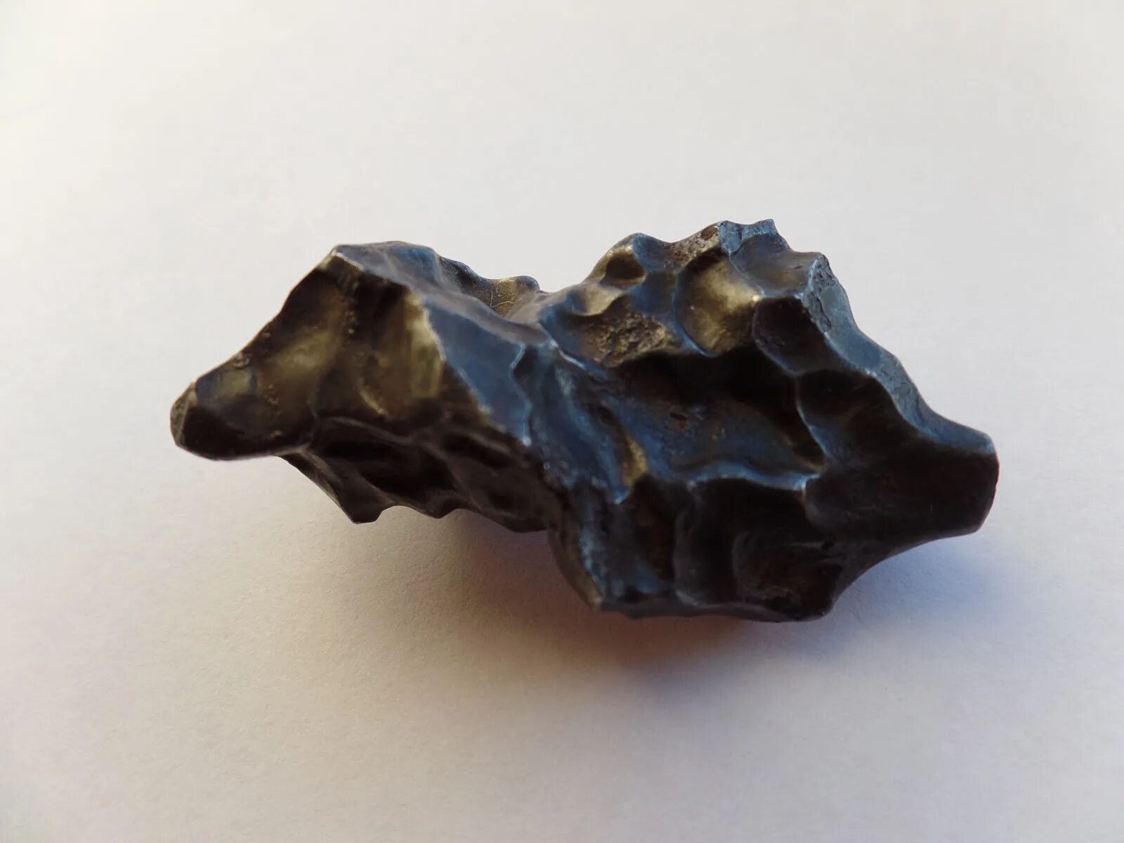 Метеорит сихотэ алинь. Meteorite sikhote-alin лейбл. meteorite sikhote-alin лейбл шильдик. сихоте алинь метеорит википедия.