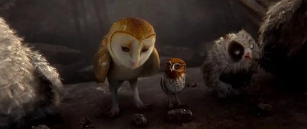 Ga hoole guardians the owls legend. Легенды ночных стражей мультфильм 2010. Легенды ночных стражей мультфильм 2010 Эглантина. Ночные Стражи мультфильм. Легенды ночных стражей миссис Плитивер.