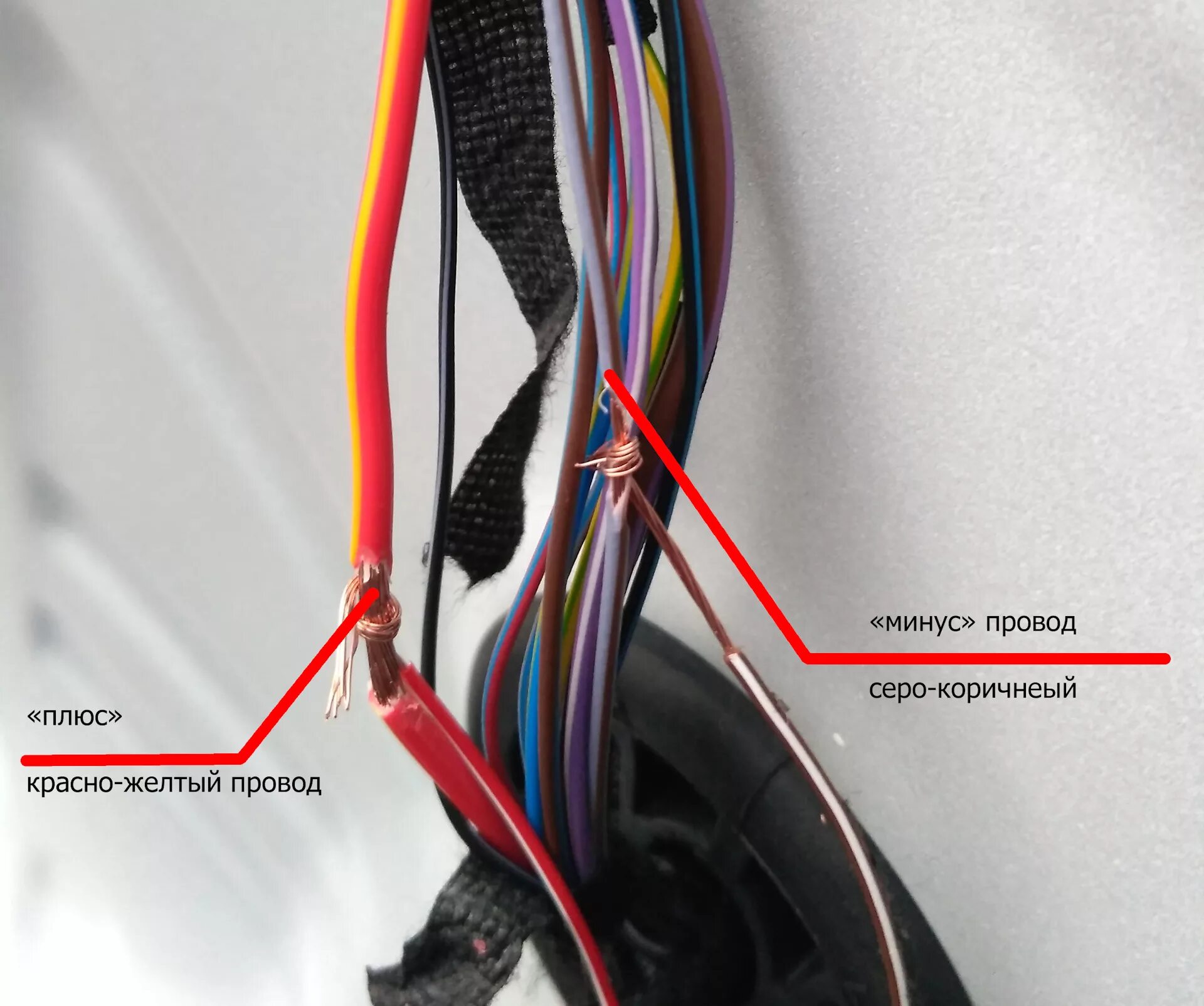Плюс провод на автомобиле. Рапид 2019 провод заднего хода. Провода на динамики Шкода Рапид. Разъем проводов двери Шкода Рапид. Цвета проводов на динамики Шкода Рапид.