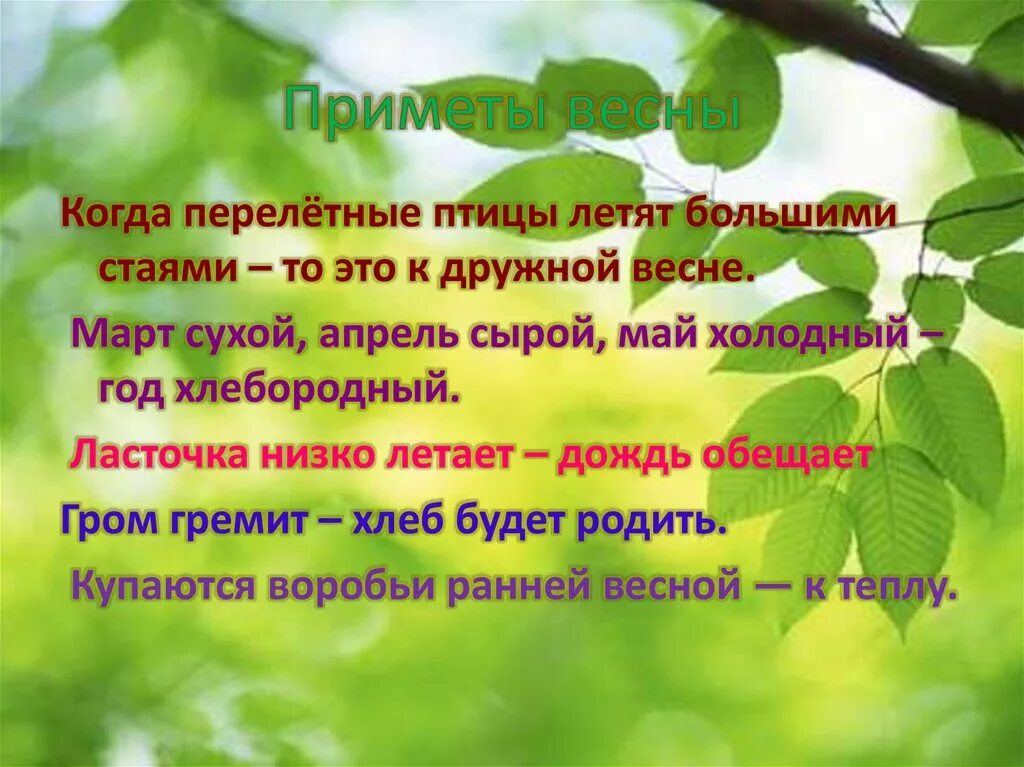 Запиши одну из известных тебе весенних примет. Приметы весны. Поименты о весне. Приметы весны для дошкольников. Народные приметы о весне.