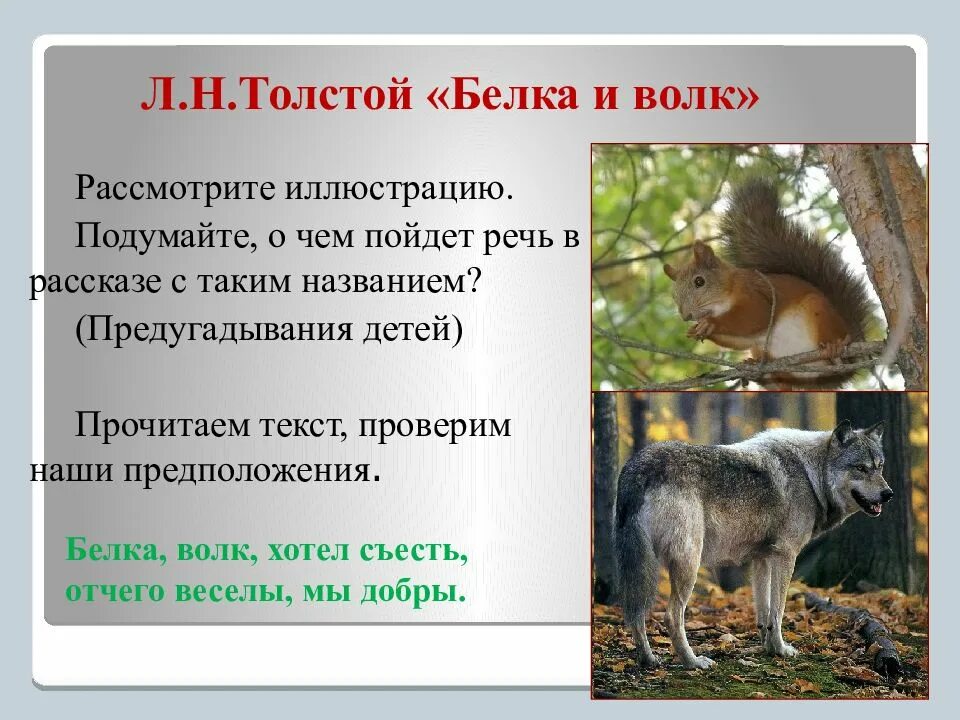 Сказка л толстого белка и волк. Белка и волк. Белка и волк толстой. Волки и елки. Л.Толстого «белка и волк».