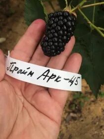 Описание 45