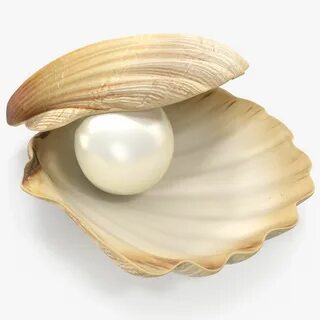 3d pearl