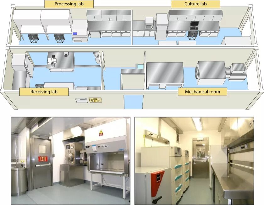 Лаборатории 1 2 групп патогенности. Biosafety Level-3 Laboratory Layout Design. BSL 3 лаборатории. Чертеж лаборатории. Схема лабораторий BSL 1-2.