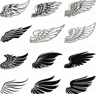Wings collection