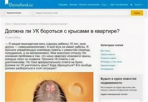 Крысы в подвале многоквартирного дома