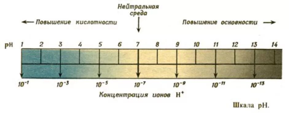 Нейтральную среду имеет водный раствор соли. Овр в нейтральной среде реакции. Кислая щелочная и нейтральная среда. Кислая щелочная и нейтральная среда. Овр в нейтральной среде реакции.