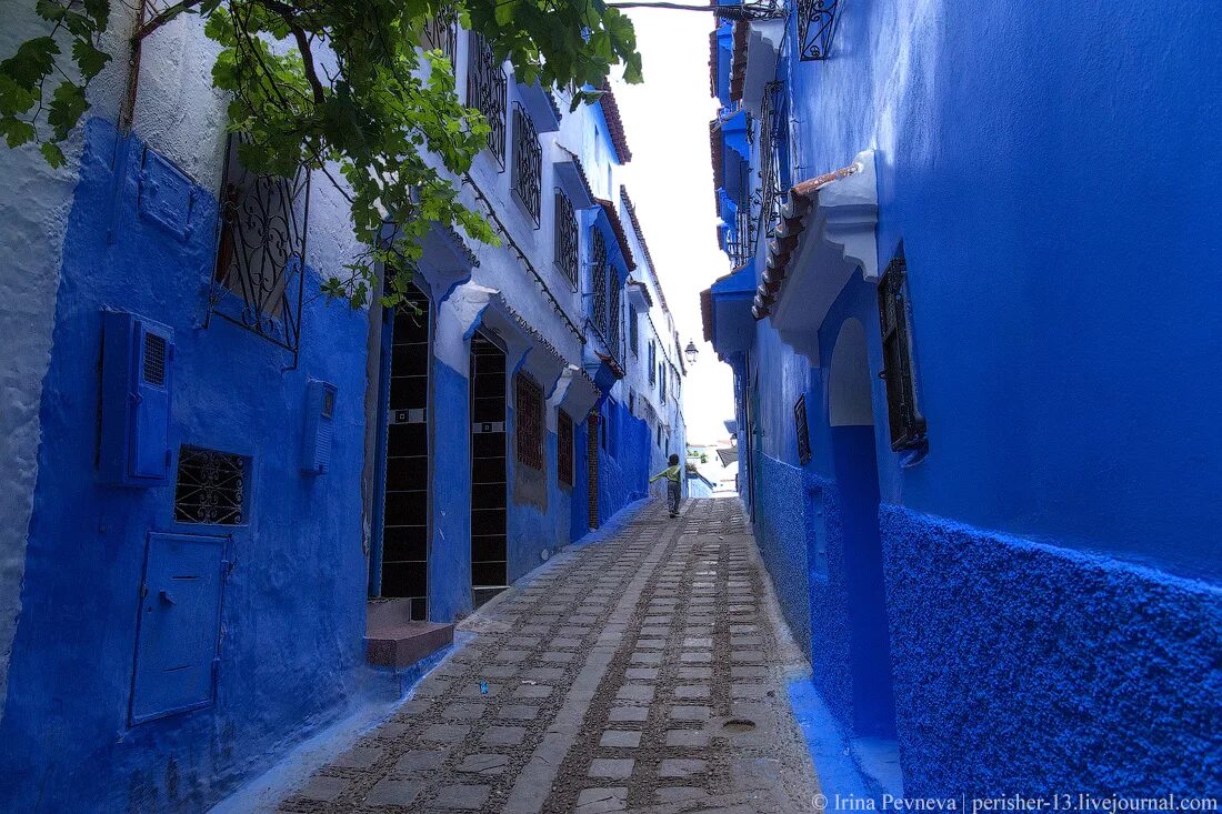 Blue street. Шефшауэн Марокко. Голубой город в Марокко Шефшауэн. Шефшауэн голубая Жемчужина Марокко. Синий город в Марокко Шефшауэн улицы.