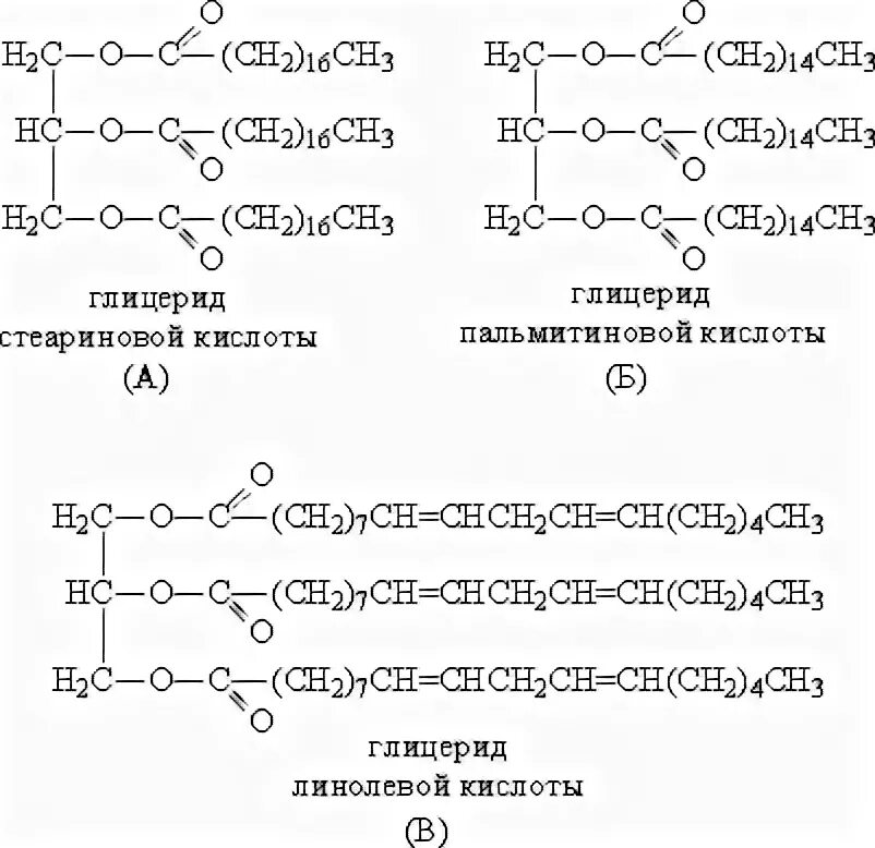 Глицерин триглицерид стеариновой кислоты. Глицерид линоленовой кислоты формула. Образование триглицерина линолевой кислоты. Триглицерид линолевой кислоты. Пальмитиновая кислота получение триглицеридов.