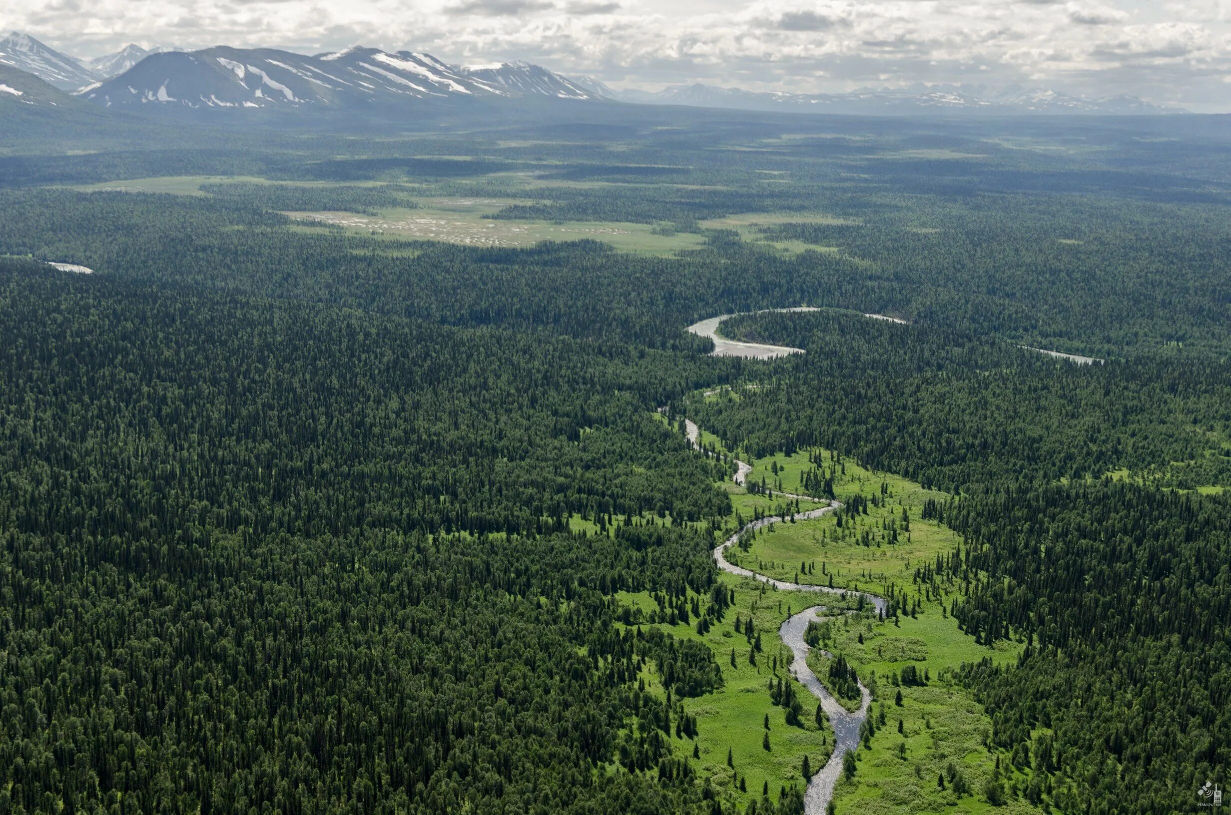 Forest republic. Девственные леса Коми Республика Коми. Девственные места Коми. Лесные массивы Республики Коми. Девственные леса Коми наследие ЮНЕСКО.