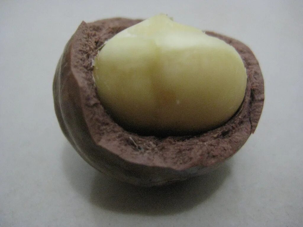 арабский орех. мохилхин суданский орех. орех мохилхин. орех мохилхин. мохилхин суданский орех.