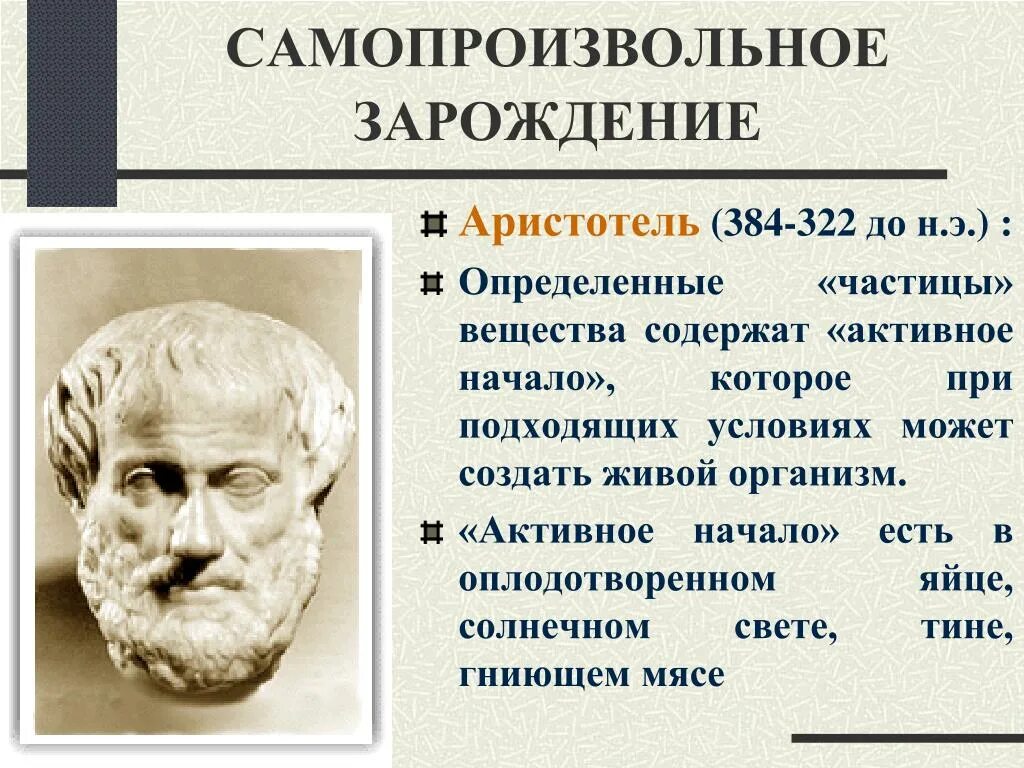 Суть теории самозарождения жизни. Самозарождение гипотеза Аристотеля. Самопроизвольное Зарождение. Теория самопроизвольного зарождения. Самопроизвольное спонтанное Зарождение.