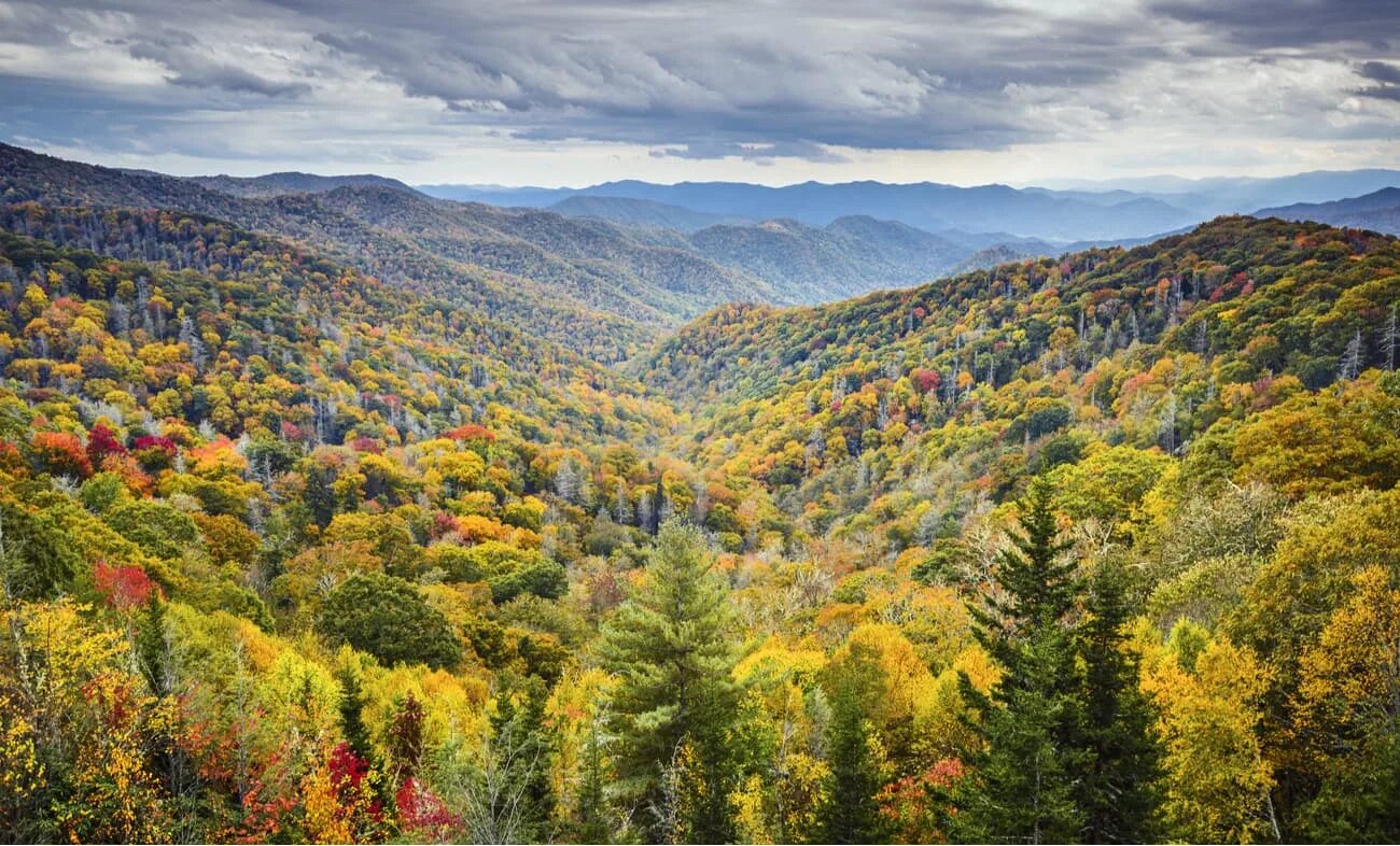 Смоки маунтинс сша. National great. Грейт смоки маунтинс дымчатые горы. Our great national parks. Великие дымящиеся горы.