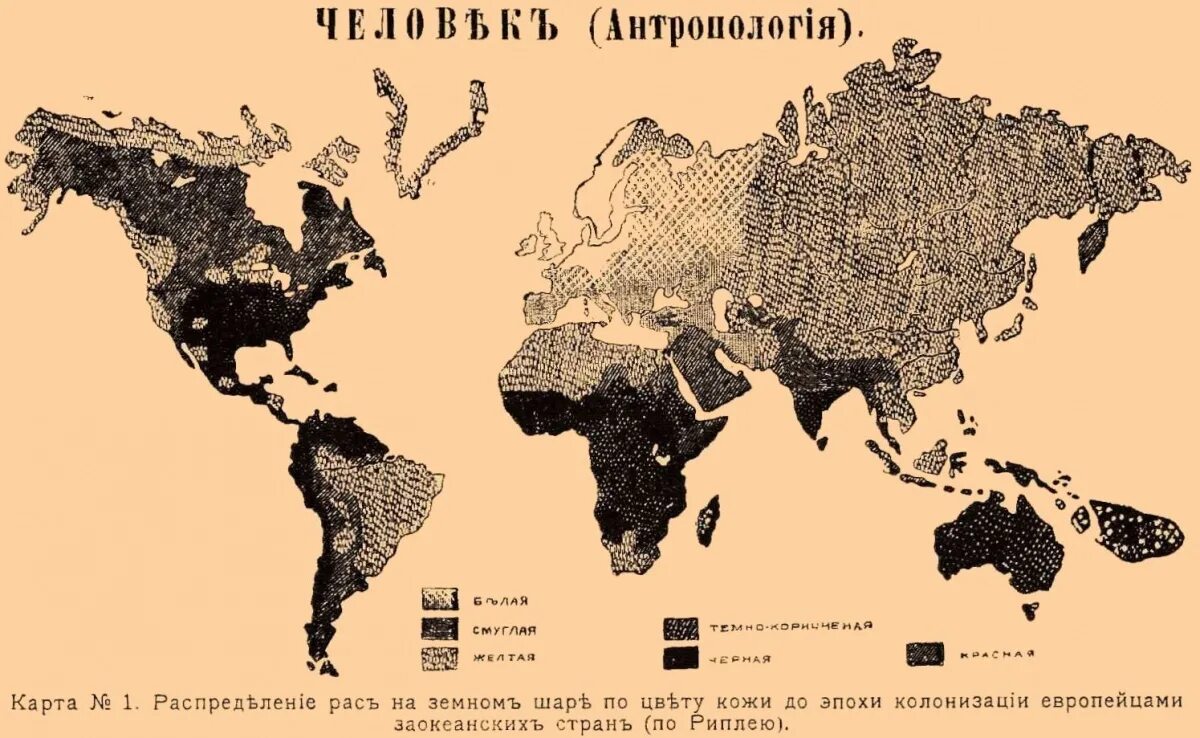 Ареалы распространения человеческих рас. Карта человеческих рас. Расы людей на карте. Расы на земле карта.