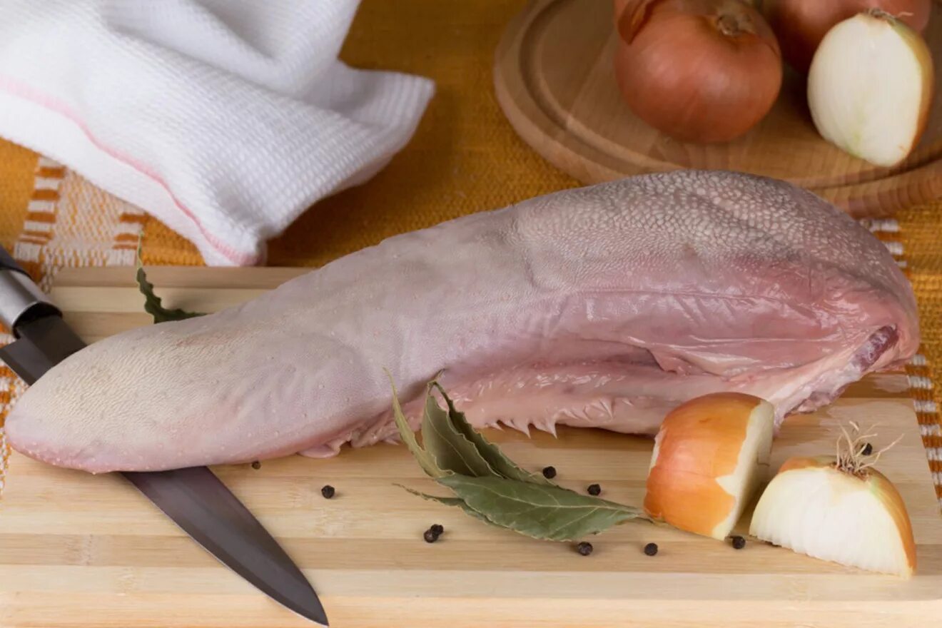 Чтобы язык был мягким. Чтобы язык был мягким. Дискламативный власит. Чтобы язык был мягким. Чтобы язык был мягким.