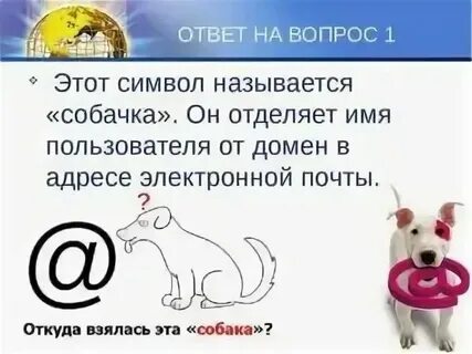 Собаки зачем и почему