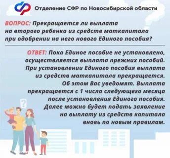 Сколько путинские выплаты в 2024