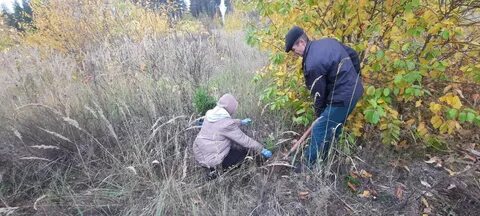 Что делать с саженцами купленными в марте