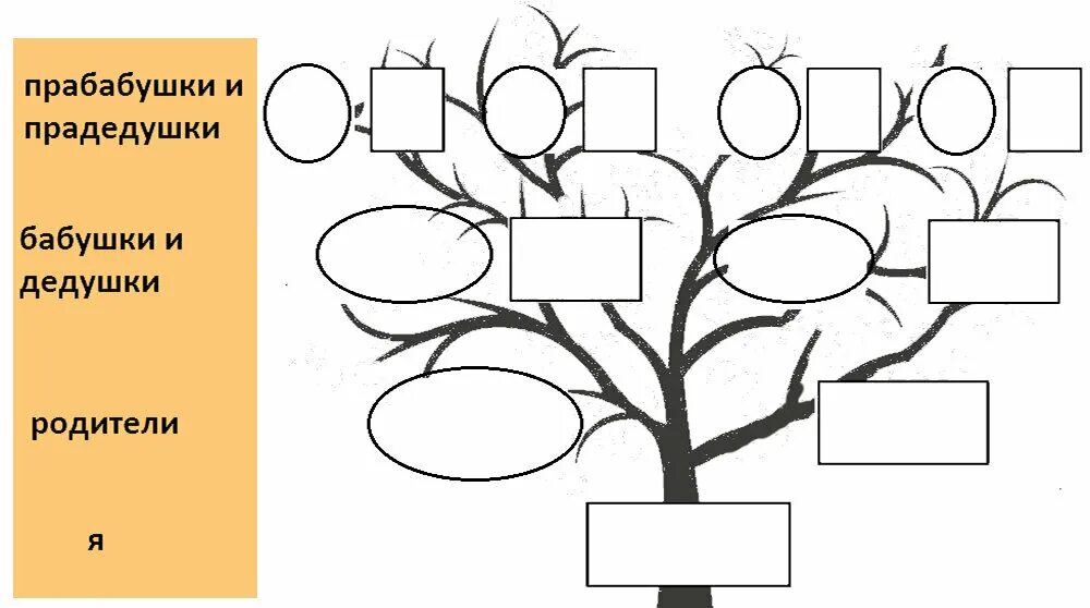 Родословная родословное древо история семьи 2 класс. Семейное Древо снизу вверх. Генеалогическое дерево семьи снизу вверх. Схема родословного дерева. Генеалогическое Древо рисунок.