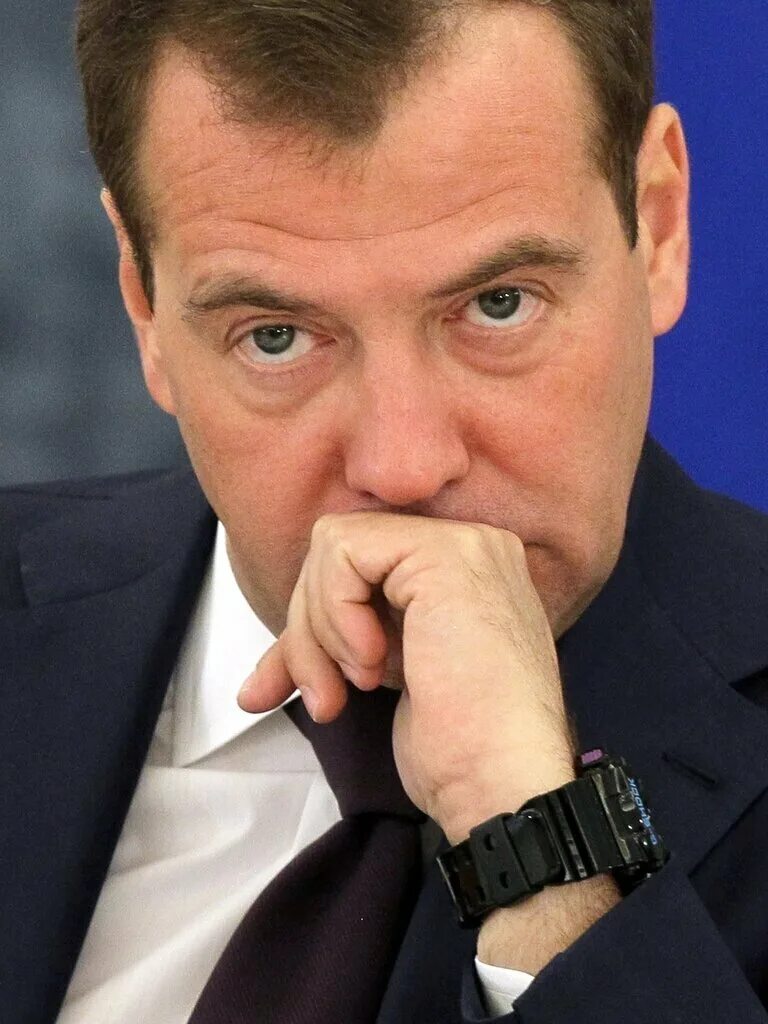 Дмитриев Медведев. Биография медведева кратко