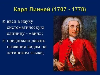 Биология 7 класс вид основная единица систематики