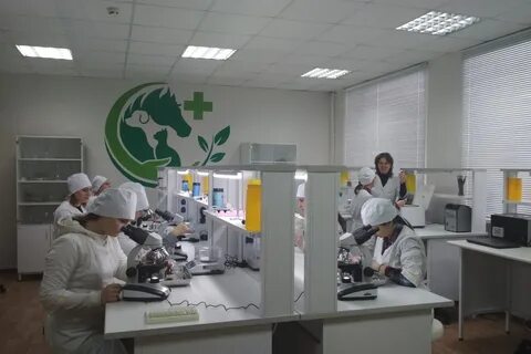 Аграрный промышленный колледж г кирсанова