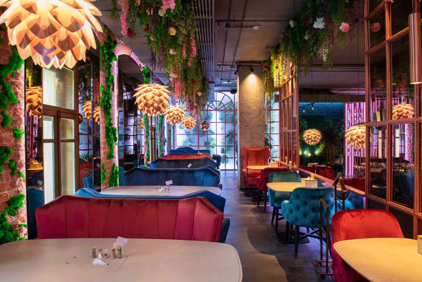 Ресторан плов проджект. Чайхана плов проджект екатеринбург. Ресторан плов малая дмитровка. Ресторан плов проджект. Ресторан plov project москва.