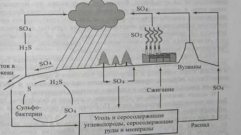 Круговорот веществ серы схема. Круговорот веществ в природе серы. Круговорот серы в биосфере. Сера круговорот в природе.