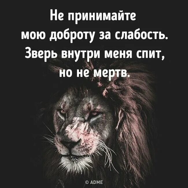 Нет зверя страшнее чем человек. Доброту за слабость. Доброту принимают за слабость. Доброту за слабость принимают цитата. Доброта за слабость цитаты.