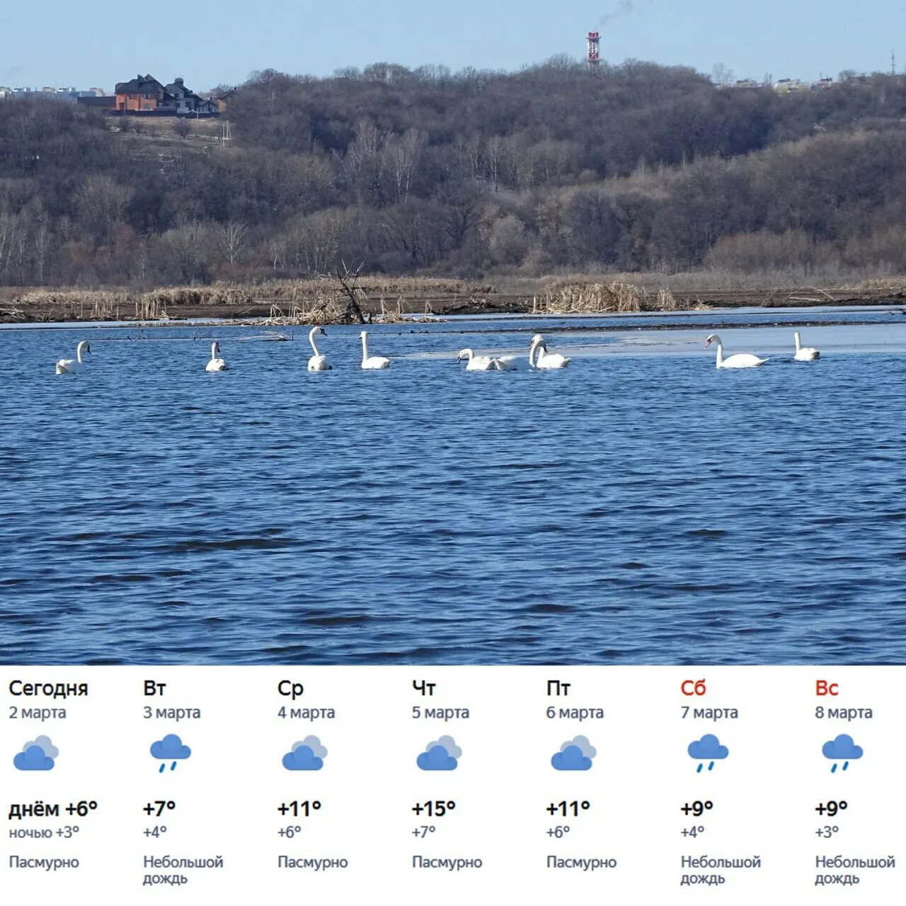 Метеоинфо москва. Погода в моршанске на неделю точный прогноз. Прогноз погоды в коломне. Погода в пензе. Гидрометцентр москва.