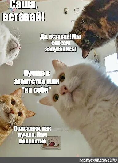 Звонок на телефон вставай вставай вставай. Вставай будильник звонит. Вставай на работу опоздаешь. Вставай уже пора. Уже пора.