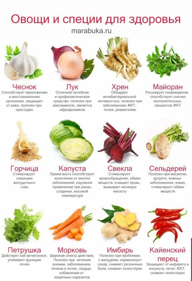 Приарава мааги 10овошей 75г. Приправы и их названия. Полезные овощи. Какие специи для овощей. Приправа 10 овощей магги.