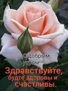 Доброе утро будьте здоровы картинки с надписями