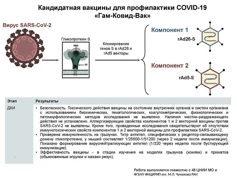 Схема прививок от коронавируса в России. Схема вакцинации коронавируса. Схема прививания от коронавируса. Коронавирус схемы вакцинации.