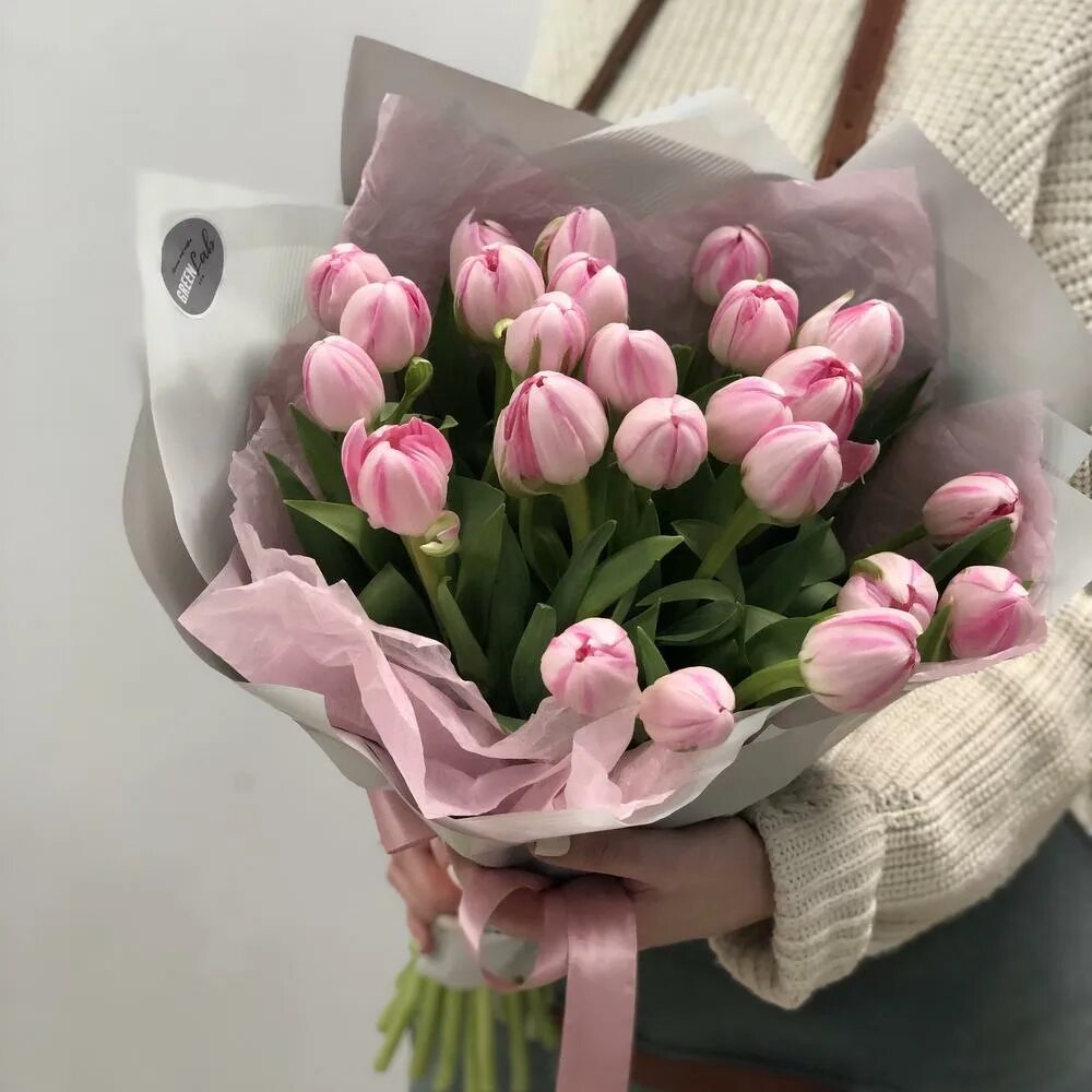 тюльпан perth. тюльпаны благовещенск. тюльпаны купить в благовещенске. тюльпан спринг брейк. тюльпаны благовещенск.