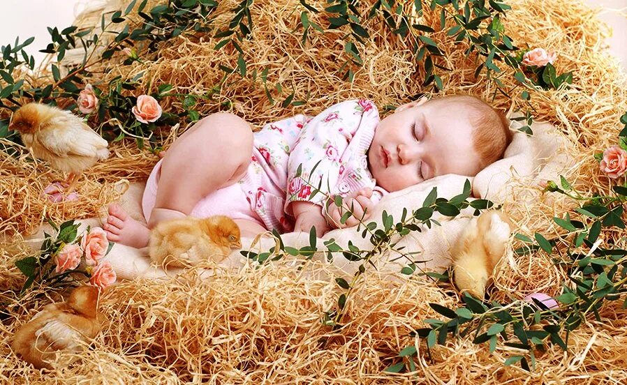 Младенец в колыбели. Фотосессия новорожденных в сене. Колыбель для детей. Младенец на сене. Село колыбельное