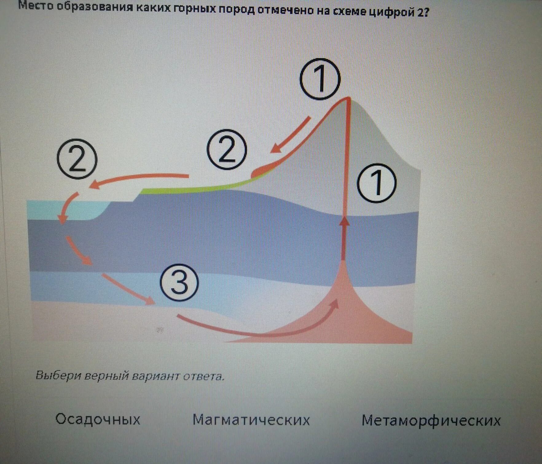 Схема образования осадочных горных пород. Место образования каких горных пород отмечено на схеме цифрой. Место образования каких горных пород отмечено на схеме цифрой 2.