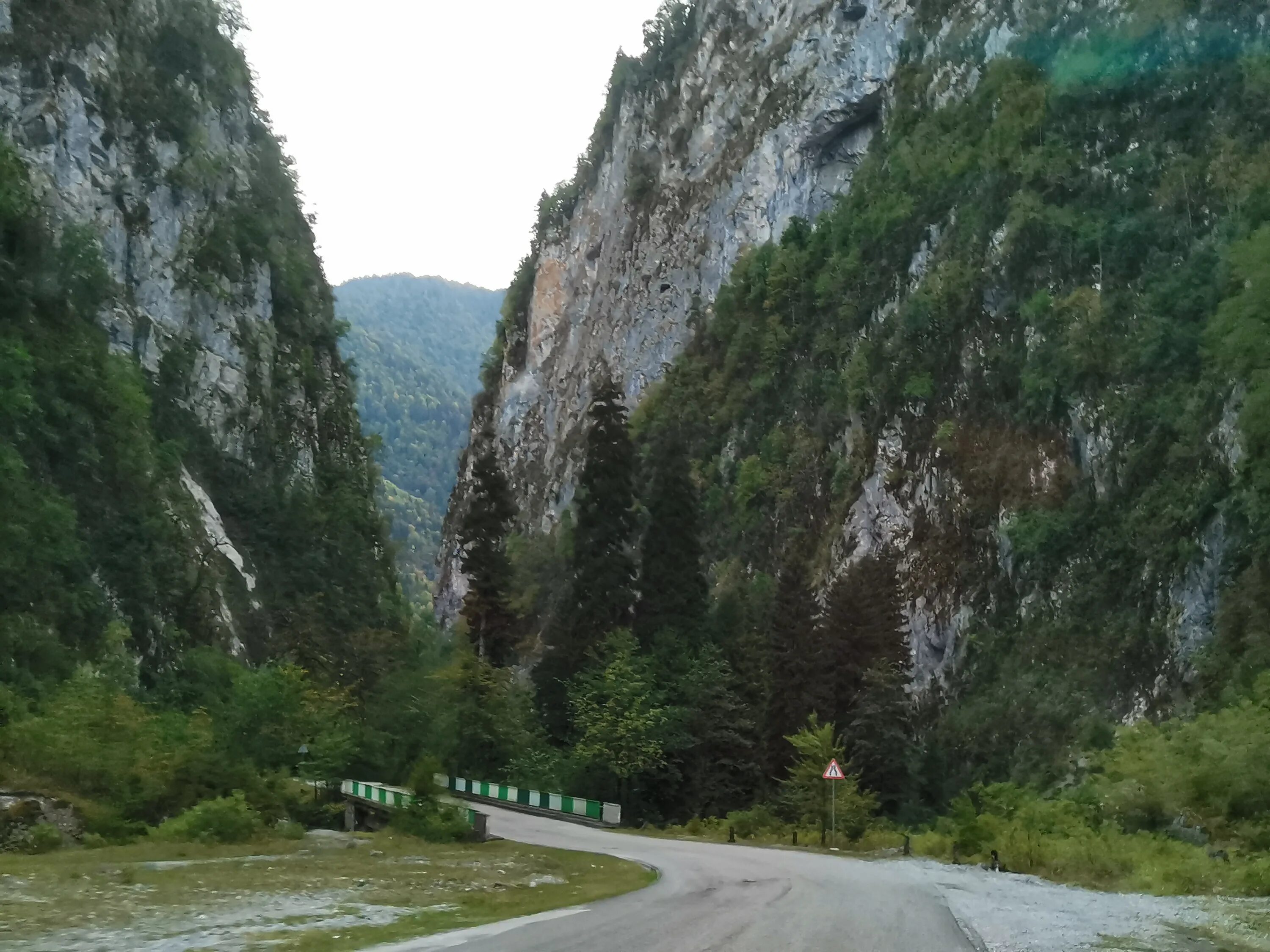 Дорога на озеро рица. Рицца Абхазия озеро Рица. Юпшарский каньон. Дорога на озеро Рица Абхазия. Озеро Рица каньон.