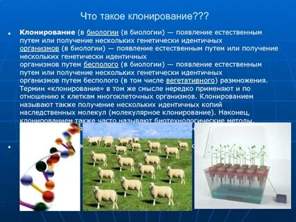 Клонирование сообщение