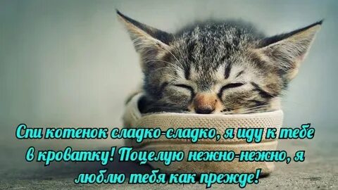 И спала сладко сладко