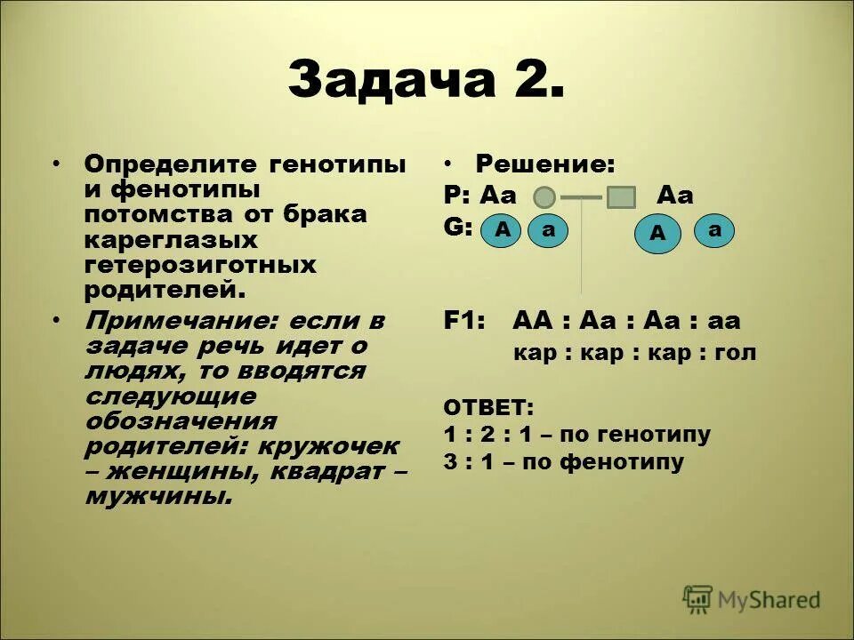 Зная генотип можно ли предсказать генотип. Как определить генотип в задаче. как определить генотип и фенотип. как найти генотип родителей. как определить генотипы родителей решение задач.